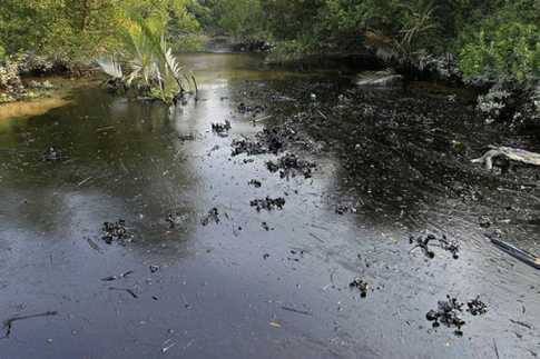 Oil spill in the worlds largest mangrove forest.
