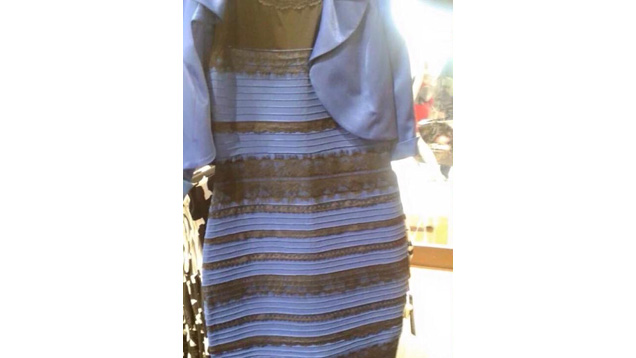 What Color Do You See?