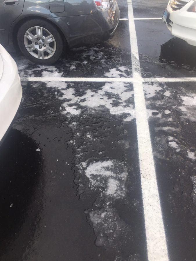 Like many Stamford roads, the student lot at SHS was covered with black ice Monday morning.
