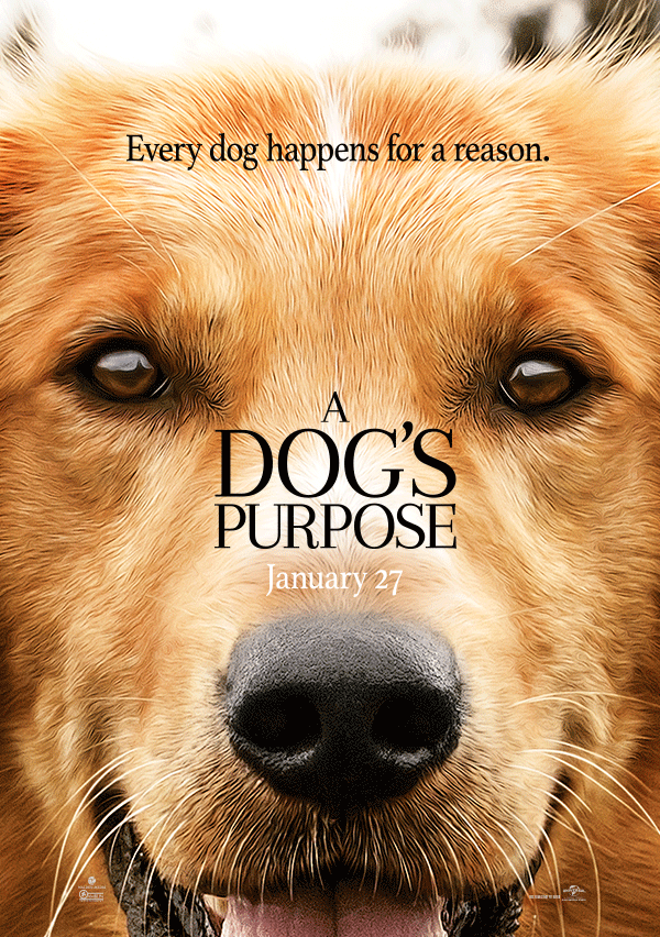 Sit! Stay! For A Dogs Purpose