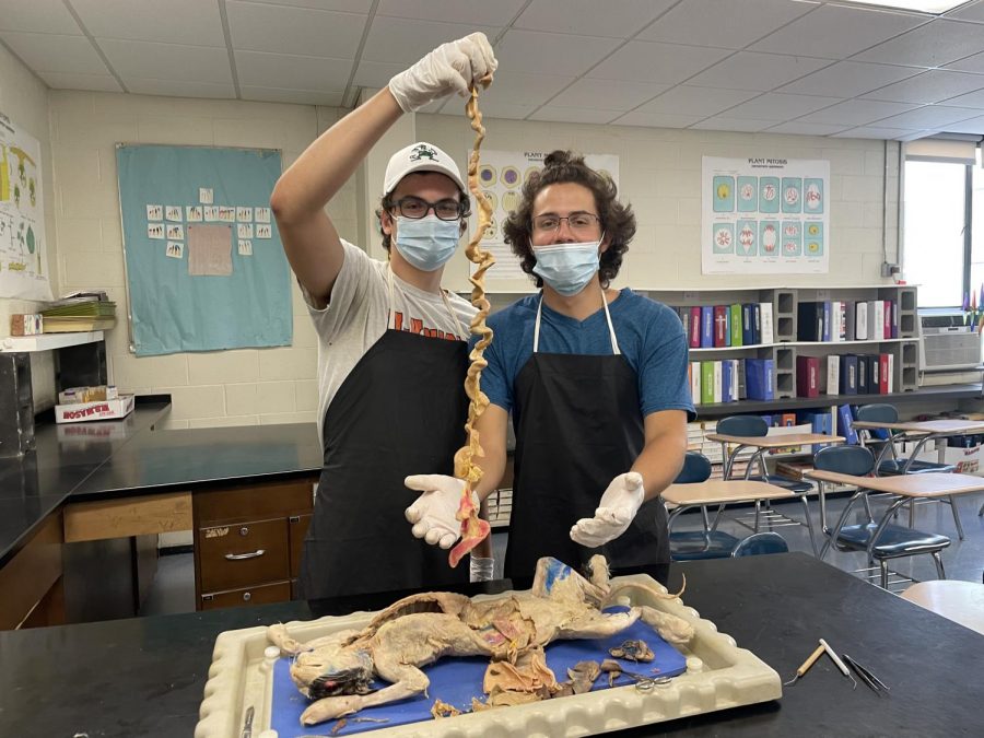 Seniors Panos Ketonis and James DeBeradinis show the small intestine they had removed from the cat.