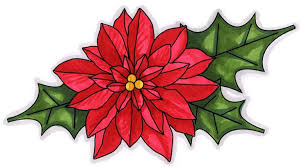 Poinsettia Sale